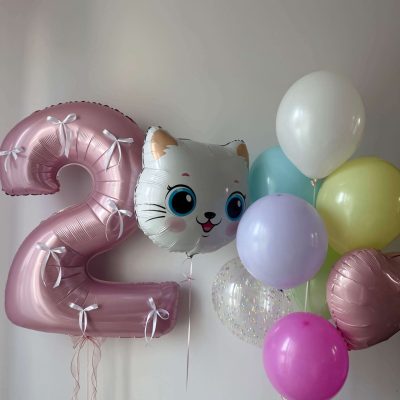 Balony na drugie urodziny kota